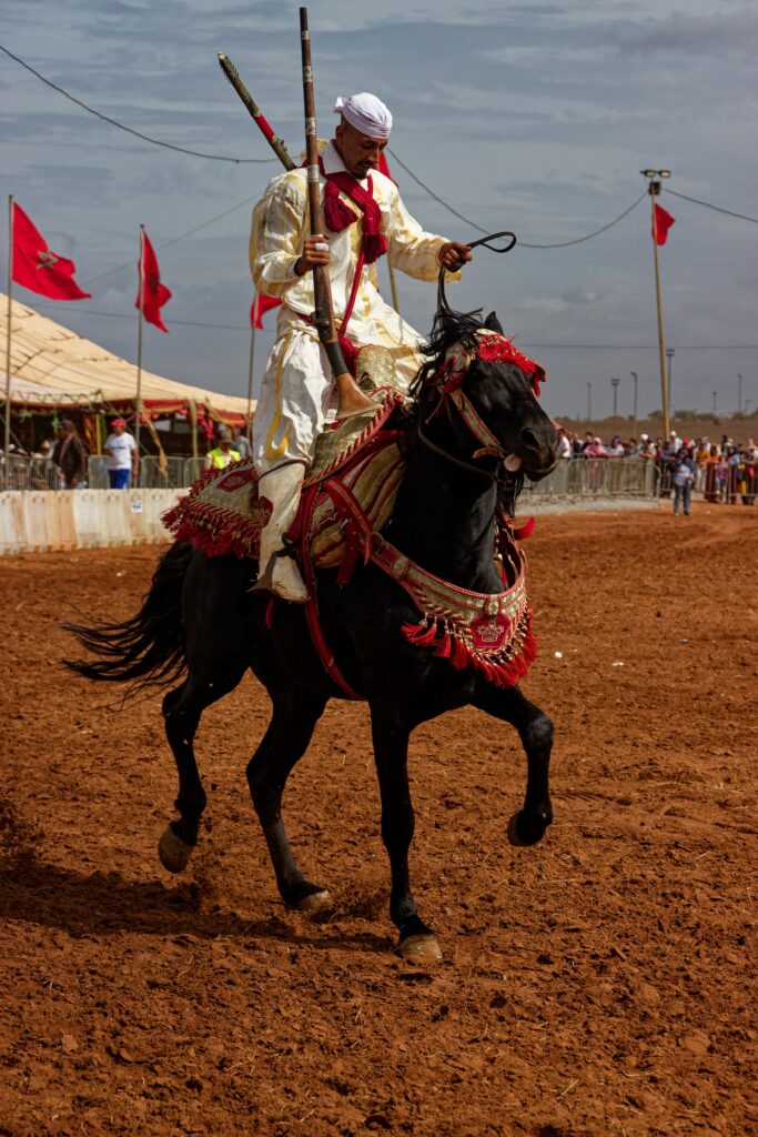 Tbourida show