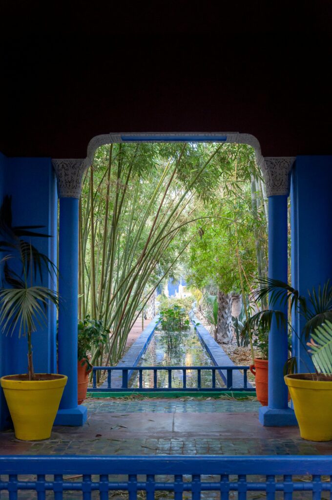 pexels-photo-6441178-6441178 Assorted exotic plants and water basin in Majorelle Garden located in Marrakesh on sunny day
